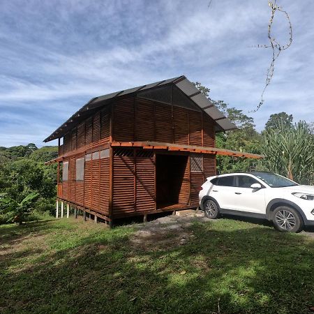 Eco Guest House - Sarapiqui 1 מראה חיצוני תמונה