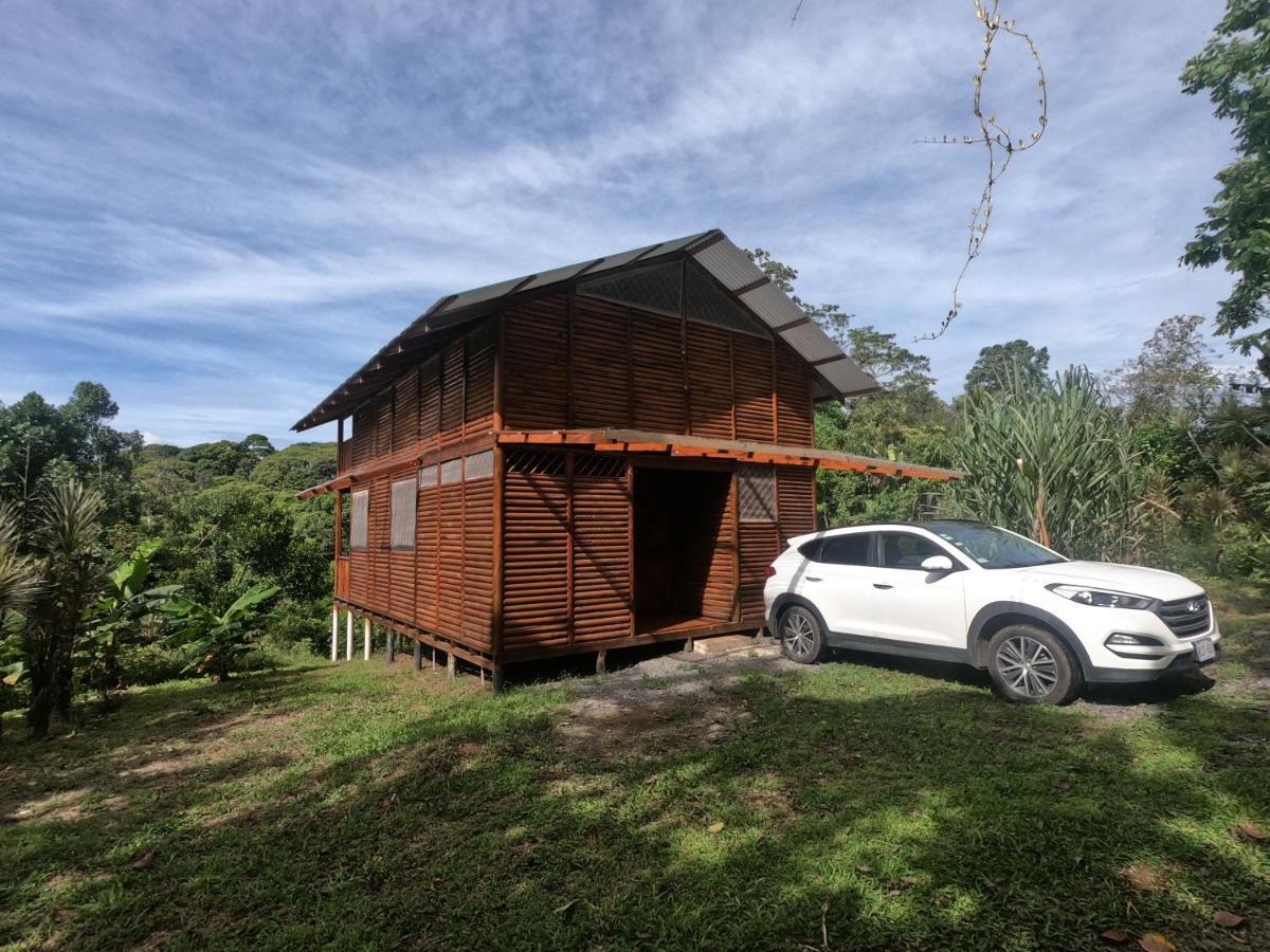 Eco Guest House - Sarapiqui 1 מראה חיצוני תמונה