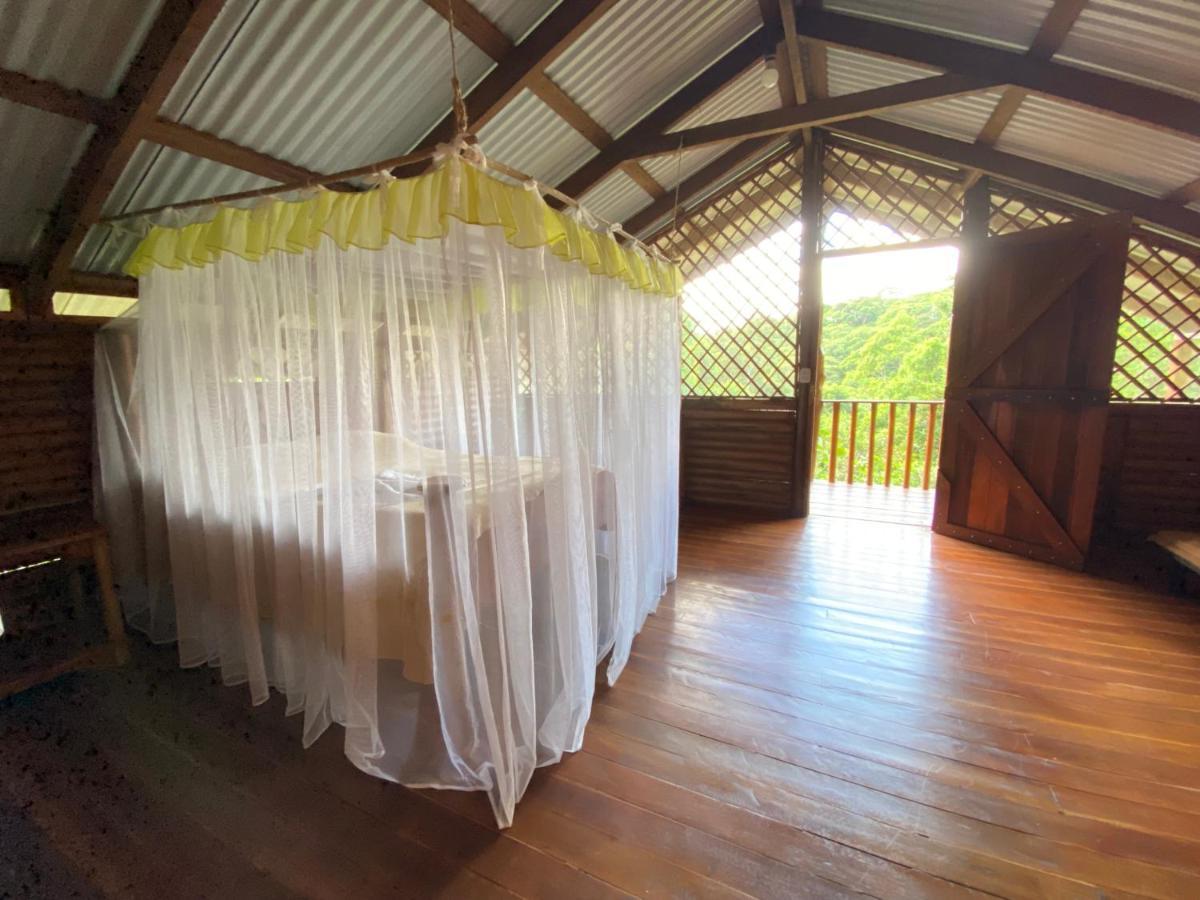 Eco Guest House - Sarapiqui 1 מראה חיצוני תמונה