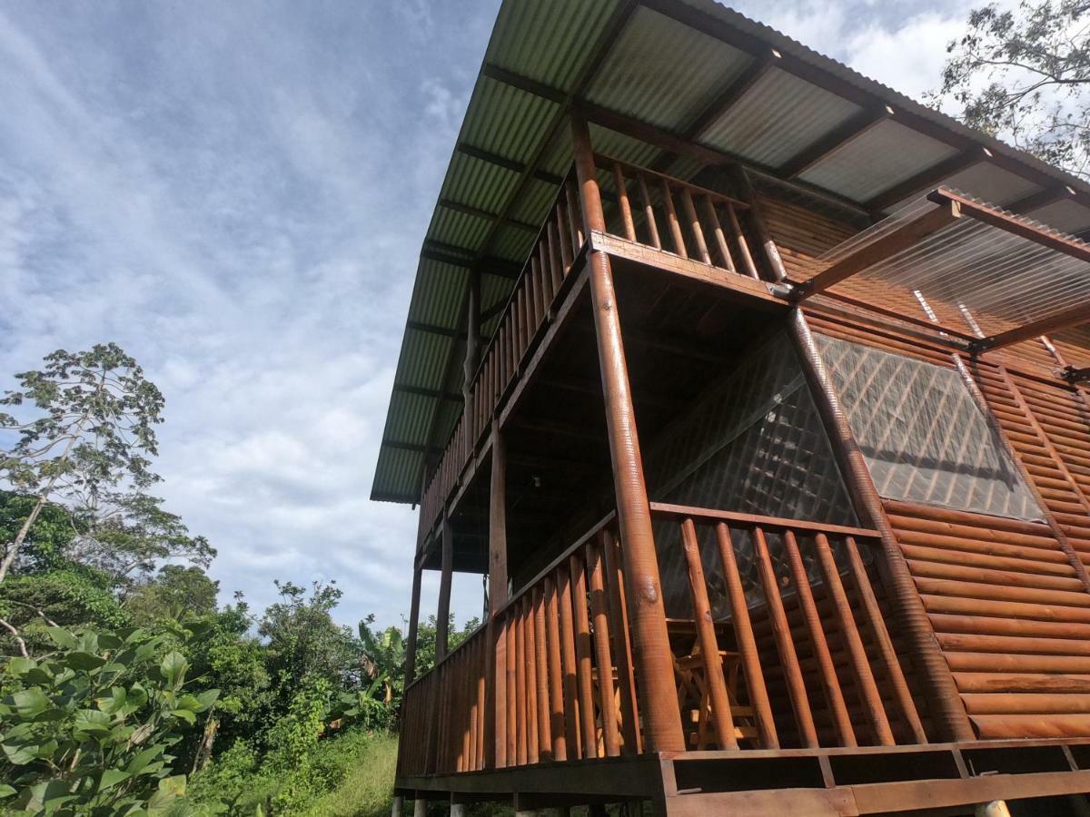 Eco Guest House - Sarapiqui 1 מראה חיצוני תמונה